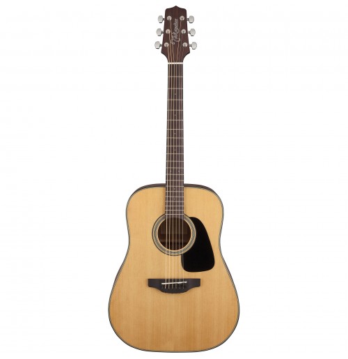 Takamine GD10-NS akustična kitara